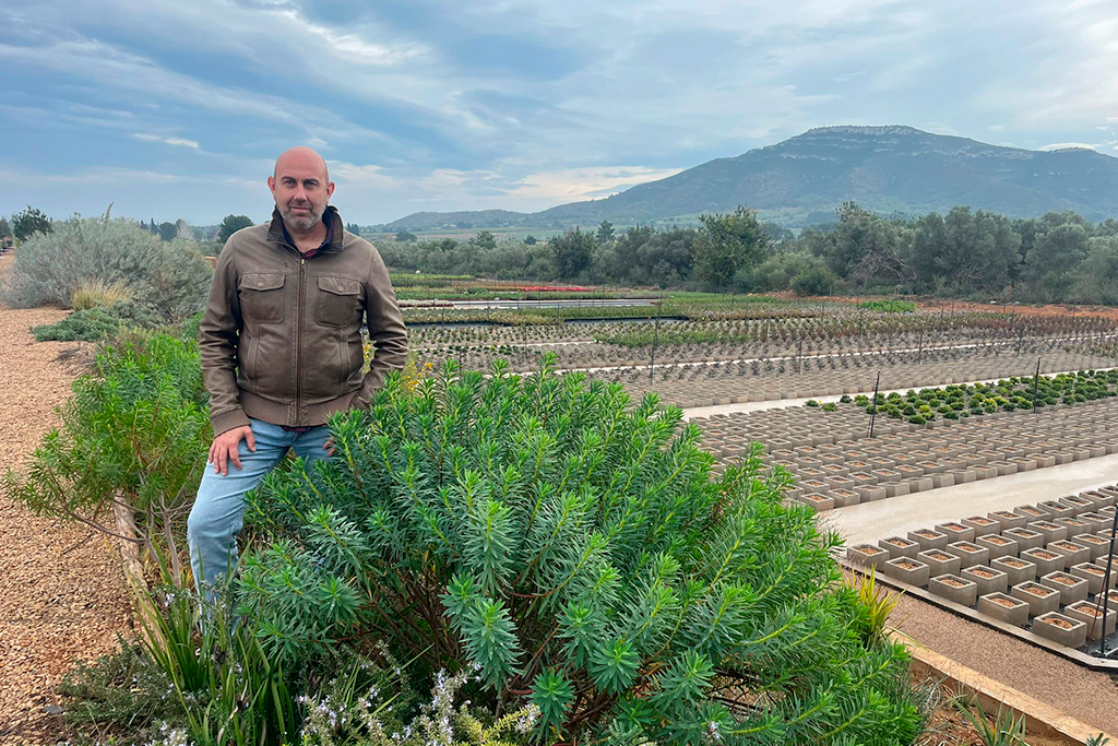 Las plantas y el cambio climático. El sentido común en la selección de especies para evitar errores y conseguir jardines auténticamente sostenibles.