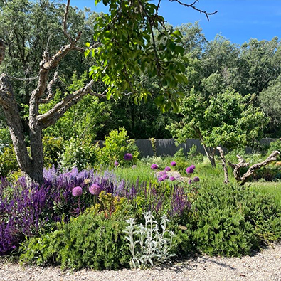 Jardín isla primera 2